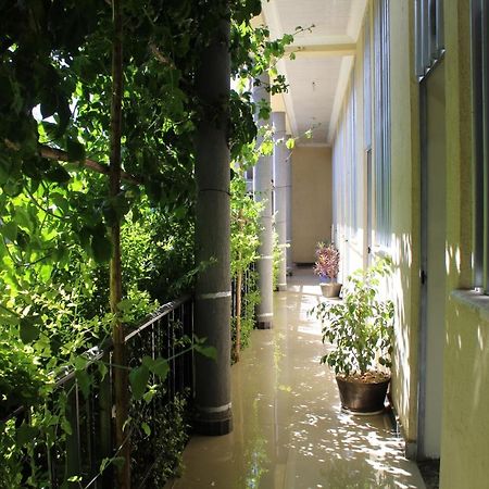 Bahir Dar Backpackers Pansiyon Dış mekan fotoğraf